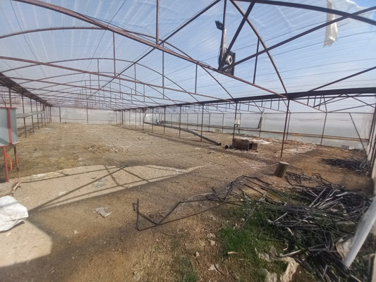 Продам коммерческое помещение 220 548 м2, Пилипенко ул, Солдатская ст-ца