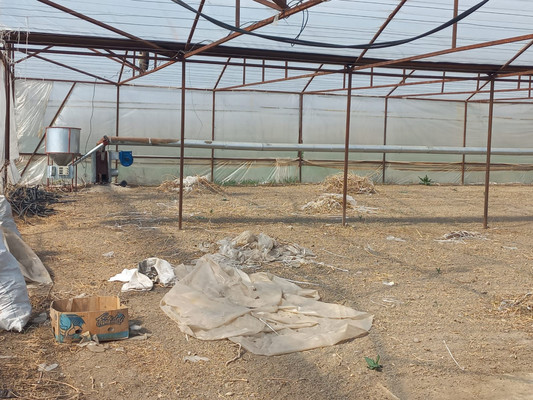 Продам коммерческое помещение 220 548 м2, Пилипенко ул, Солдатская ст-ца