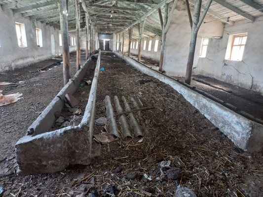 Продам коммерческое помещение 220 548 м2, Пилипенко ул, Солдатская ст-ца