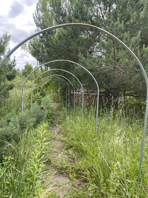 Продам дом, Совхозная ул, 31А, Муравьиха с, 0 км от города