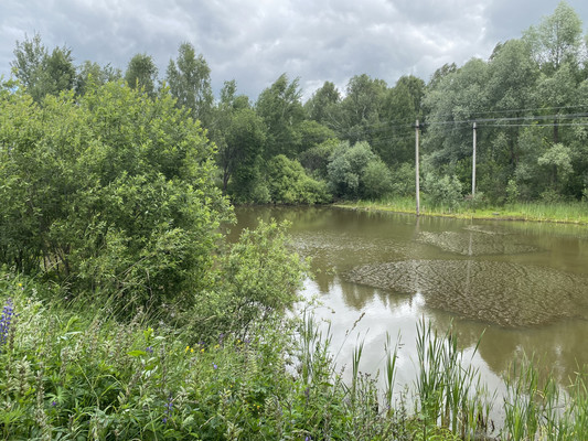 Продам дом, Совхозная ул, 31А, Муравьиха с, 0 км от города