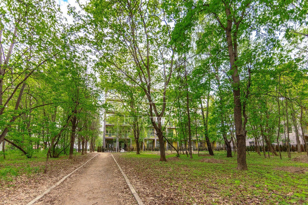 Продам однокомнатную (1-комн.) квартиру, Досфлота проезд, 12, Москва г