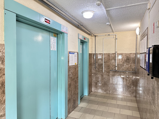 Продам однокомнатную (1-комн.) квартиру, Дыбенко ул, 42Ак3, Санкт-Петербург г