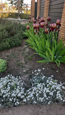 Продам дом, Бекира Умерова ул, 22, Симферополь г, 0 км от города