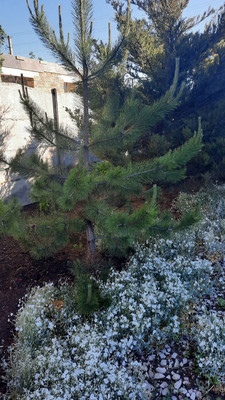 Продам дом, Бекира Умерова ул, 22, Симферополь г, 0 км от города