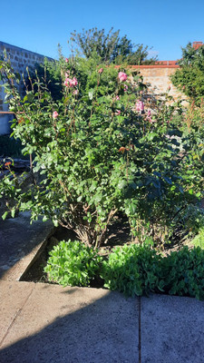 Продам дом, Бекира Умерова ул, 22, Симферополь г, 0 км от города