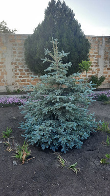 Продам дом, Бекира Умерова ул, 22, Симферополь г, 0 км от города