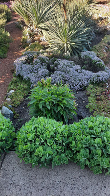 Продам дом, Бекира Умерова ул, 22, Симферополь г, 0 км от города