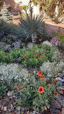 Продам дом, Бекира Умерова ул, 22, Симферополь г, 0 км от города