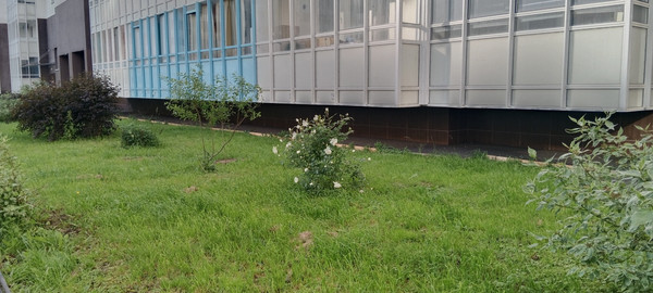 Продам однокомнатную (1-комн.) квартиру, Плесецкая ул, 16, Санкт-Петербург г