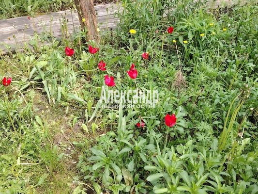 Продам дом в поселке Арсенал, Заря тер. СНТ, 436, Чаща массив, 120 км от города