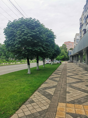 Продам трехкомнатную (3-комн.) квартиру, им. Яна Полуяна ул, 60, Краснодар г