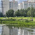 Продам однокомнатную (1-комн.) квартиру, Маршала Савицкого ул, 26к1, Москва г