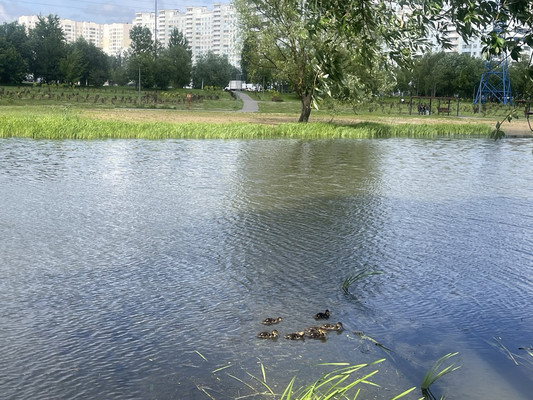 Продам однокомнатную (1-комн.) квартиру, Маршала Савицкого ул, 26к1, Москва г