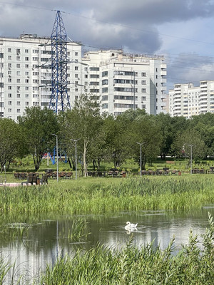Продам однокомнатную (1-комн.) квартиру, Маршала Савицкого ул, 26к1, Москва г