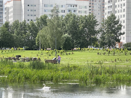 Продам однокомнатную (1-комн.) квартиру, Маршала Савицкого ул, 26к1, Москва г