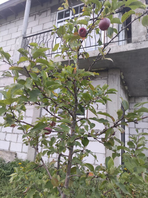 Продам коттедж, 28, Воскресенское д, 0 км от города