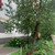 Продам трехкомнатную (3-комн.) квартиру, Зеленодольская ул, 7к3, Москва г