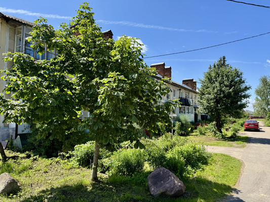 Продам двухкомнатную (2-комн.) квартиру, 8, Покровское с