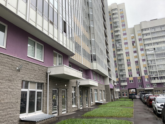 Сдам однокомнатную (1-комн.) квартиру, Екатерининская ул, 10к859, Мурино п