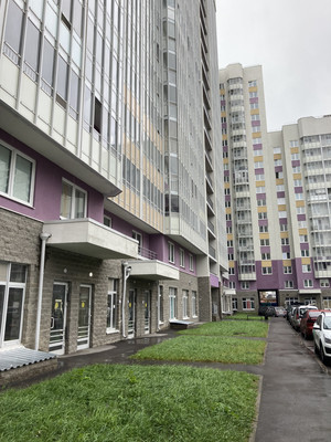 Сдам однокомнатную (1-комн.) квартиру, Екатерининская ул, 10к859, Мурино п