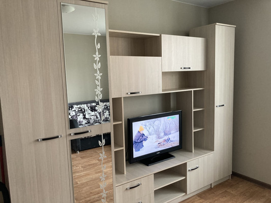 Сдам однокомнатную (1-комн.) квартиру, Екатерининская ул, 10к859, Мурино п