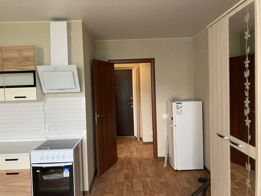 Сдам однокомнатную (1-комн.) квартиру, Екатерининская ул, 10к859, Мурино п