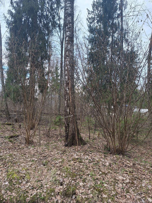 Продам участок 15 соток, ИЖС, Хлыбы д, 0 км от города