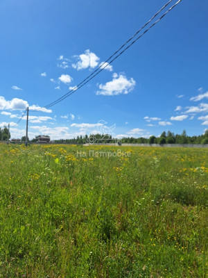 Продам участок 19,4 соток, Фермерское хоз., Тихая ул, Якиманское д, 0 км от города