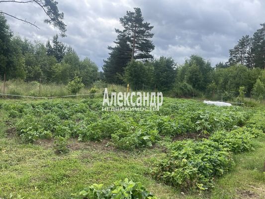 Продам дом, Брусничка ул, 3, Починок п, 126 км от города