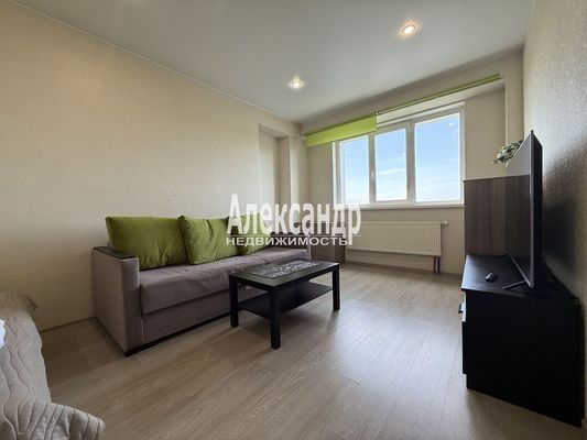 Продам однокомнатную (1-комн.) квартиру, Центральная ул, 19к3, Металлострой п