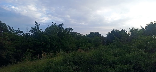 Продам участок 7 соток, Фермерское хоз., Анисовая (Приморское снт) ул, 56, Борисовка с, 0 км от города
