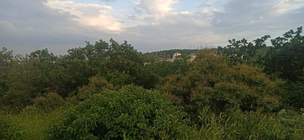 Продам участок 7 соток, Фермерское хоз., Анисовая (Приморское снт) ул, 56, Борисовка с, 0 км от города