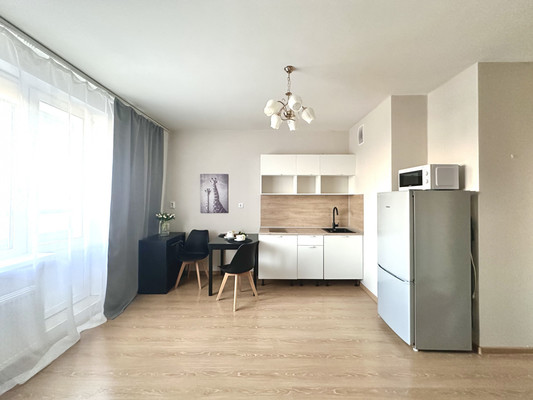 Продам однокомнатную (1-комн.) квартиру, Авиаторов Балтики пр-кт, 9к1, Мурино п