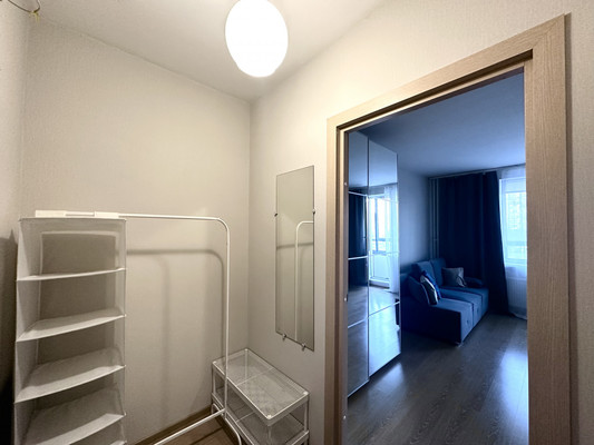 Продам однокомнатную (1-комн.) квартиру, Авиаторов Балтики пр-кт, 9к1, Мурино п