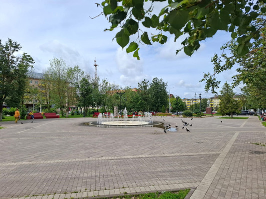 Продам участок 12,55 соток, ИЖС, Урицкого ул, Дедовск г, 0 км от города