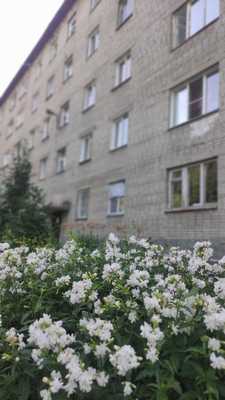 Продам двухкомнатную (2-комн.) квартиру, Зорге ул, 44, Новосибирск г