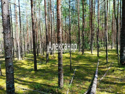 Продам участок 7,96 соток, СНТ, поселок Полянское, ПМК ул, Приветная д, 60 км от города