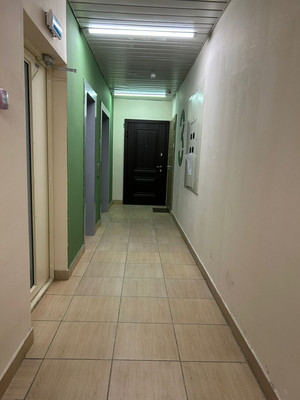 Продам однокомнатную (1-комн.) квартиру, Центральный (Купелинка мкр) кв-л, 2, Сапроново д
