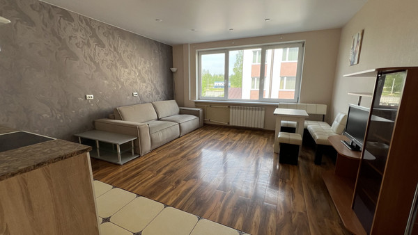 Сдам однокомнатную (1-комн.) квартиру, Шевченко ул, 18к3, Всеволожск г