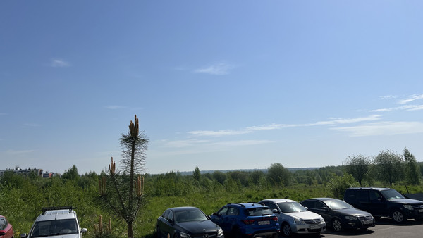 Сдам однокомнатную (1-комн.) квартиру, Шевченко ул, 18к3, Всеволожск г