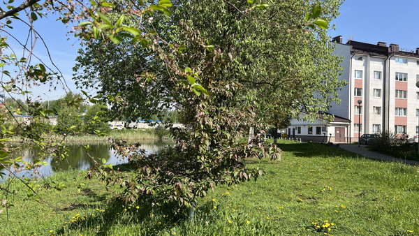 Сдам однокомнатную (1-комн.) квартиру, Шевченко ул, 18к3, Всеволожск г