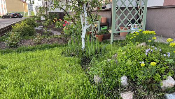 Сдам однокомнатную (1-комн.) квартиру, Шевченко ул, 18к3, Всеволожск г