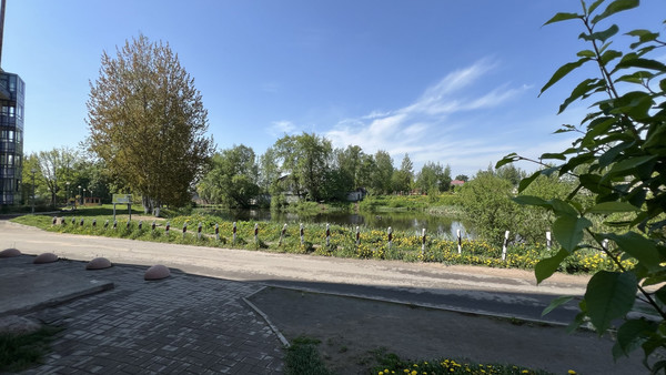 Сдам однокомнатную (1-комн.) квартиру, Шевченко ул, 18к3, Всеволожск г