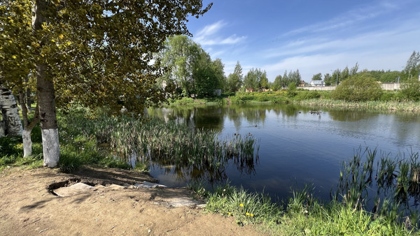 Сдам однокомнатную (1-комн.) квартиру, Шевченко ул, 18к3, Всеволожск г