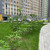 Продам трехкомнатную (3-комн.) квартиру, Берёзовая аллея, 19к4, Москва г