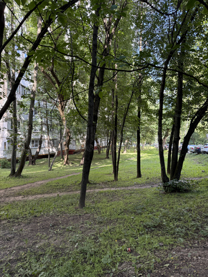 Продам однокомнатную (1-комн.) квартиру, Чертановская ул, 51к3, Москва г