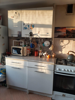 Продам двухкомнатную (2-комн.) квартиру, Софьи Ковалевской ул, 5к6, Санкт-Петербург г