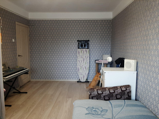 Продам двухкомнатную (2-комн.) квартиру, Софьи Ковалевской ул, 5к6, Санкт-Петербург г