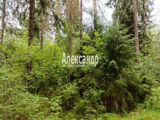 Продам участок 12 соток, ИЖС, Мыс п, 130 км от города